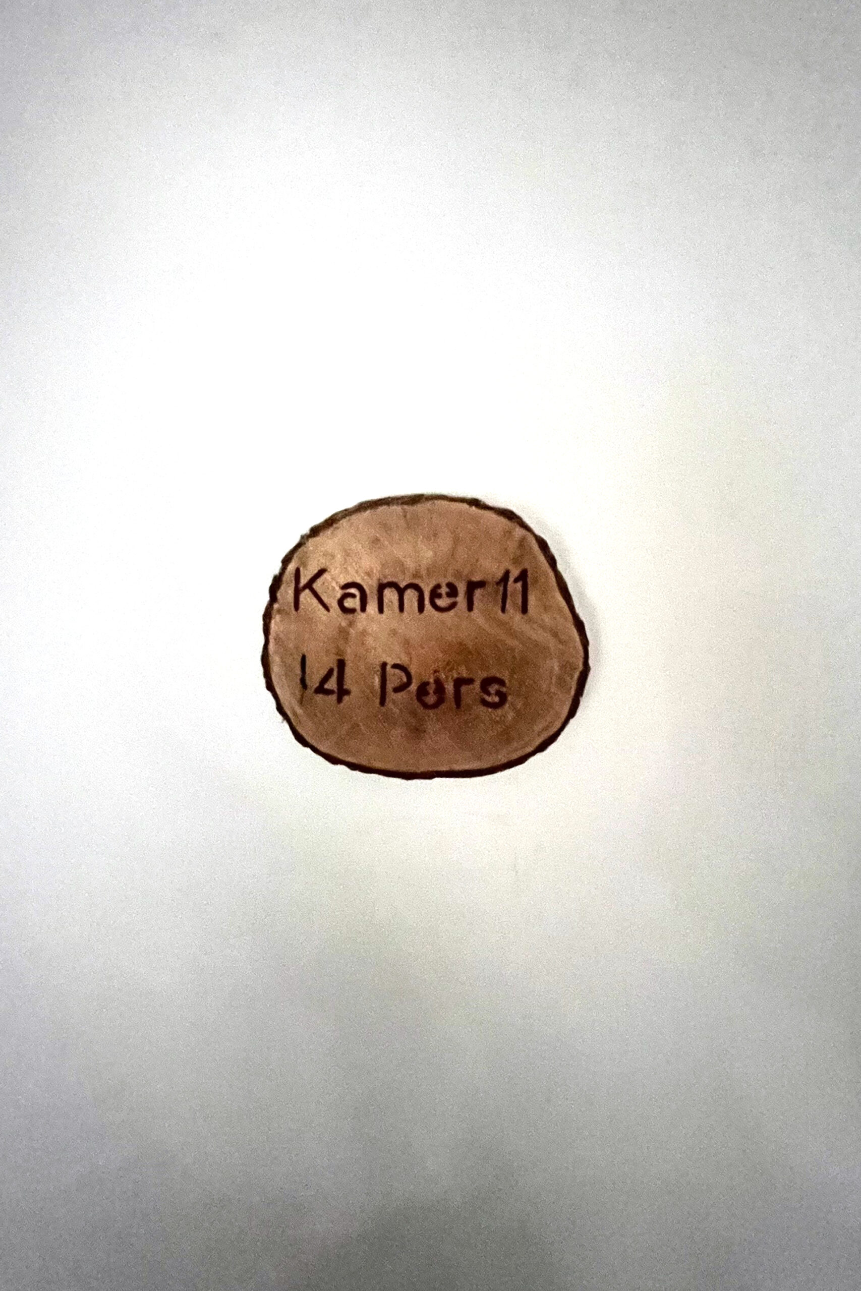 Gust en Katoo trouwen 2025